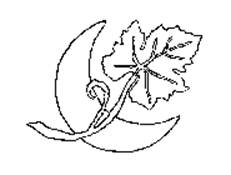 Design comprising a single grape leaf with an attached vine in front of a crescent moon. Design comprising a single grape leaf with an attached vine in front of a crescent moon.